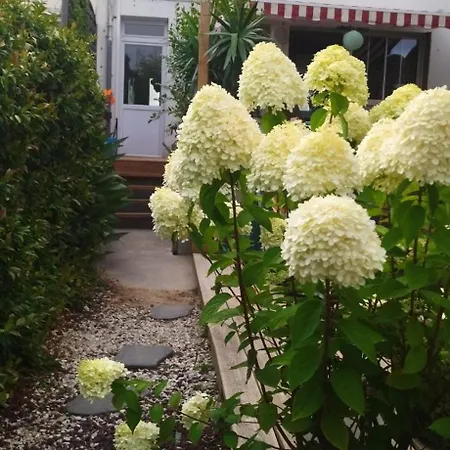 Plein De Charme Les Sables-dʼOlonne