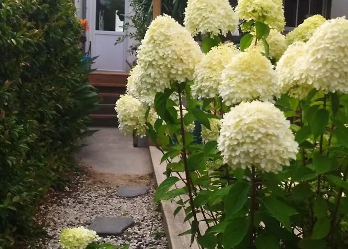 Plein De Charme Les Sables-dʼOlonne